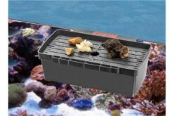 EHEIM Multibox -EHEIM || JBL || sera Verkaufsgeschäft 82740 EHEIM Multibox 2