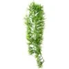 Hobby Climber Tropica, 70 Cm -EHEIM || JBL || sera Verkaufsgeschäft Hobby Climber Tropica 70 cm