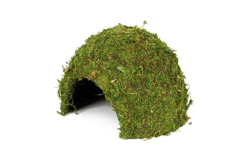 Hobby Jungle Cave 2 3 Hobby Jungle Cave 2