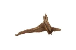 Hobby Pine Root L, Ca. 50-60 Cm -EHEIM || JBL || sera Verkaufsgeschäft Hobby Pine Root 2