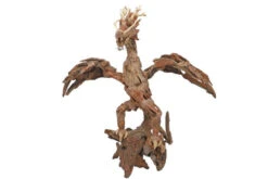 Dupla The Flying Dragon