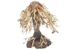 Dupla Weeping Willow