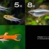Zierfisch-Sortiment Hartwasser Für 60 Cm -EHEIM || JBL || sera Verkaufsgeschäft Zierfisch Sortiment Hartwasser 60 cm Aquarium